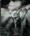 Joachim Schmeisser, Elephants in Heaven
